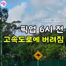 (주)나이스고속관광 | 호주 소도시 스쿨링 D+33ㅣ비 오는 날, 고속도로에 버려진 엄마