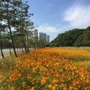 분당로마도시고속주유소 이미지