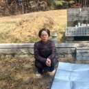 대곡건강원
