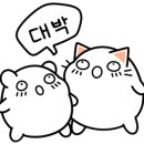 글로리아헤어 - 강북구 | 글로리아헤어