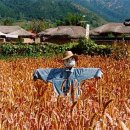 허수아비 이미지