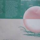 성북어린이미술관 꿈자람(성북구립미술관 분관) 이미지