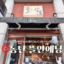 고양이미용&호텔 냥집사 | 동탄 고양이 무마취 미용 [뜰안에냥] 8kg 대형묘 미용 스파 고양이 호텔 내돈내산 후기