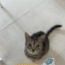 호수공원14로 이미지