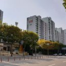 메디팜포도마을약국 Daum카페