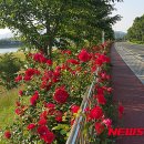 가곡강변로 이미지