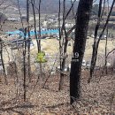 파주시청소년수련장 이미지