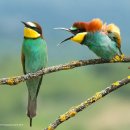 행정사 김봉규 사무소 이미지