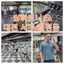 M휘트니스 : 대전 서구 월평동 일일 헬스장 이용후기