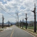 심천면복지회관 이미지