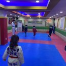 용인대 도곡 태권도장 이미지