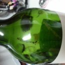 홈플러스 강동점 이미지