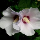 간데메공원 이미지