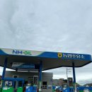 용문농협 주유소 이미지