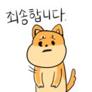 한신트레이딩 이미지