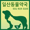 일산심야동물약국 이미지