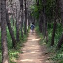 해송공원 이미지