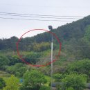 회성동267 이미지