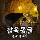 충주시 하늘나라 | 충북 충주시 아이와 가볼 만한 곳 왕추천 활옥동굴 할인 입장꿀팁