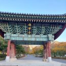 우륵문화마당 | 전라권(홍성, 혜미, 진안, 백양사, 선운사, 보성, 보길도, 함양, 우포늪, 미숭산, 대구, 갓바위) 여행후기