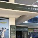 트릭아트뮤지엄 | 여수 가볼만한곳 예술랜드 트릭아트 뮤지엄