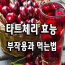 ☆ 타트체리의 효능 이미지