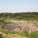 생동농장 이미지