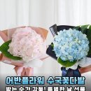 어반플라워