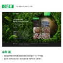 인덱스디자인
