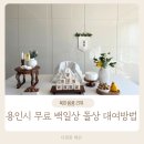 육아종합지원센터(상상의숲점) | 용인시 무료 백일상 돌상 대여방법 셀프 백일상 육아종합지원센터 상상의숲점