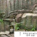 약수골