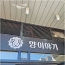 양이야기 이미지