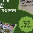 언니네텃밭 봉강공동체 이미지