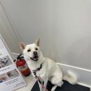 주동물병원 이미지