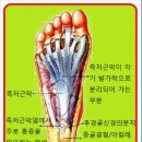 동아대 한울 태권도 이미지