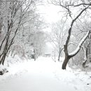 용문사 일주문 이미지