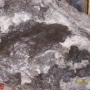 흑룡의원 이미지