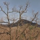 삼거리산장 이미지