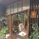 도토리(dotori) 이미지