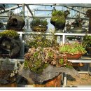 첨성대스파랜드 이미지