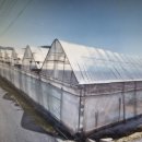 신천2리 마을회관 이미지