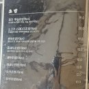 미미참치 이미지