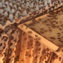 구룡천2 이미지