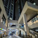 과천플러스약국 | [과천필라테스]끌로에필라테스 과천중앙점 개인레슨 후기