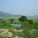 강화바다 이미지