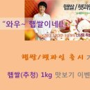 송채환 카카오 검색결과