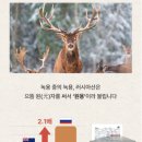 은사약국 이미지