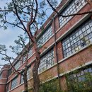 천아트&캘리그라피 | 국립현대미술관 전시 : 죽음을 기괴하게 해석한 데이미언허스트, 진실은 없어 그러나 모든것은 가능하지