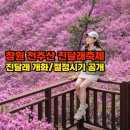 자연의 노래 | 2026 창원 천주산 진달래 개화·절정 시기·등산 코스 총정리
