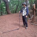 멧돼지놀이터 오마이뉴스